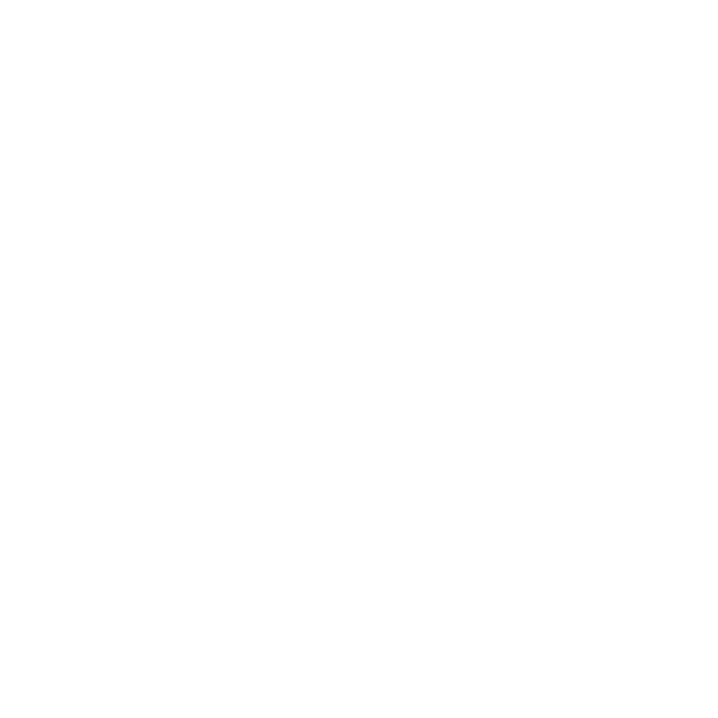 We transform ideas into solutions.